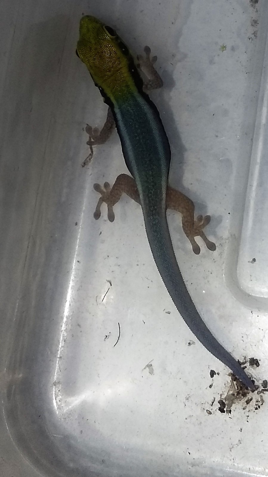 20170713_181458 (2).jpg