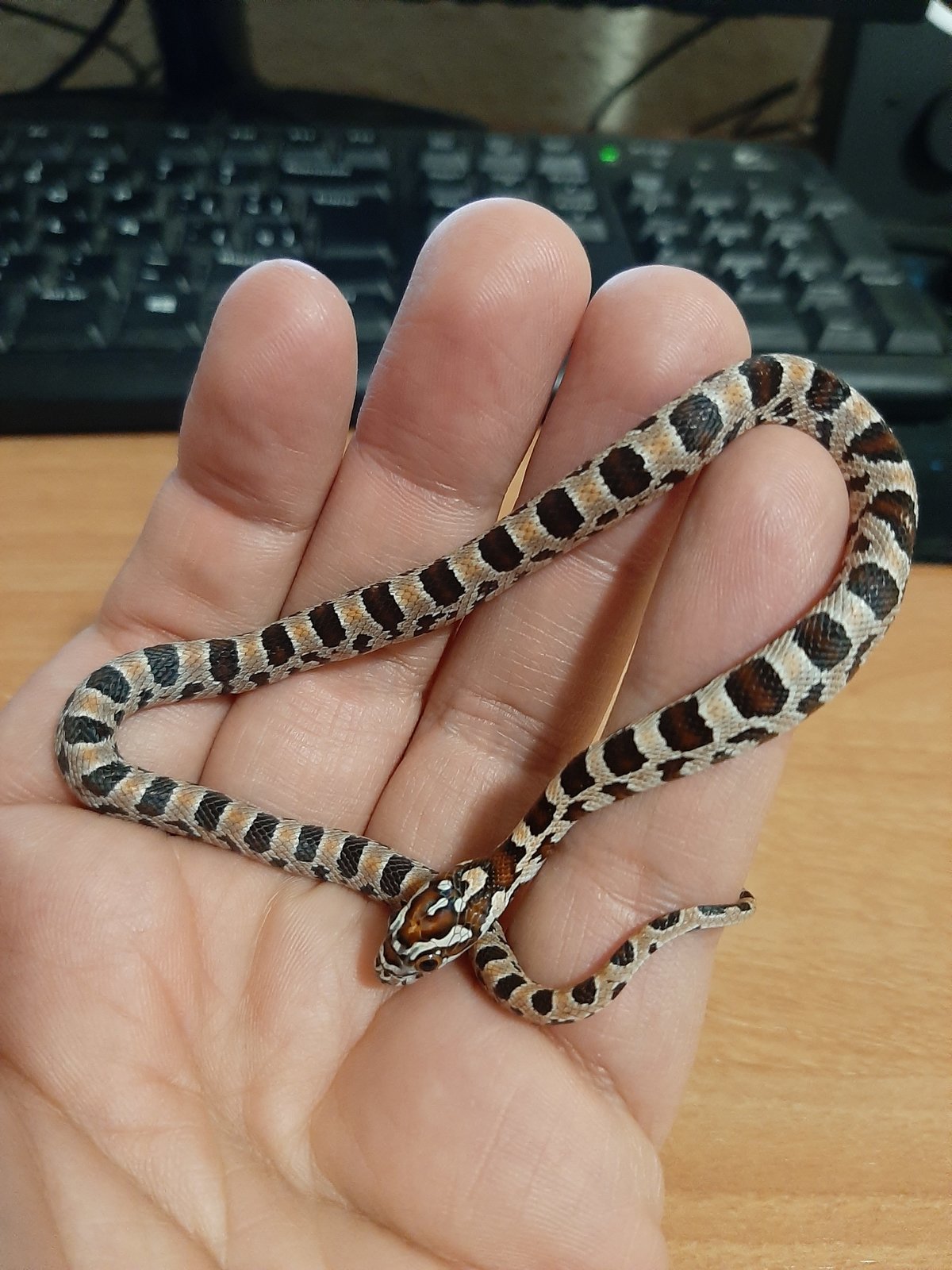 20210109_232254 (1).jpg