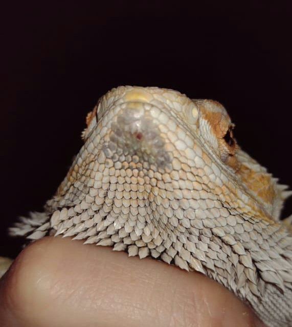 2022-06-23 23.52.06.jpg