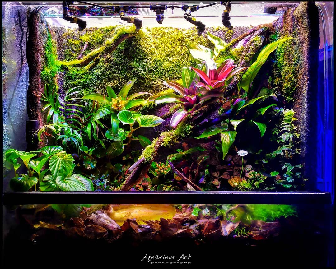 aquariums_art-___CKeDjsTJ_C5___-1.jpg
