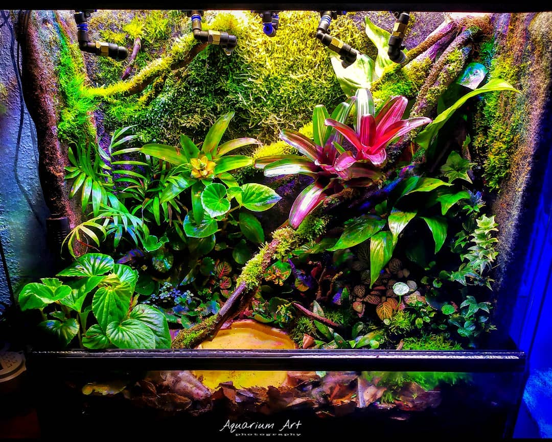 aquariums_art-___CKeDjsTJ_C5___-2.jpg