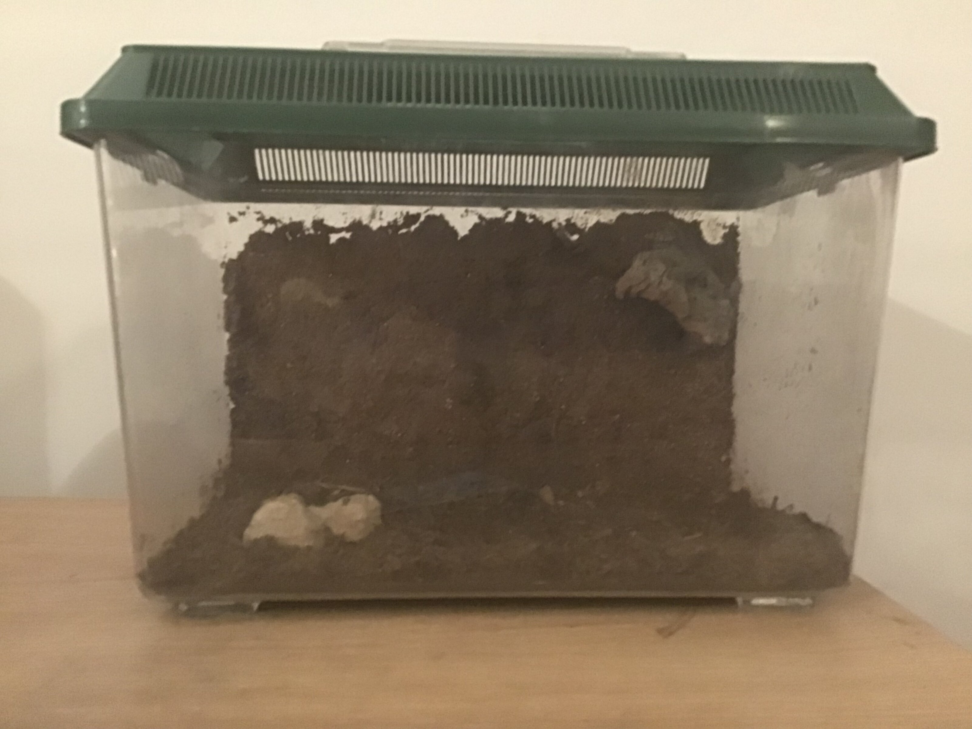 bf4ae3b9-99e7-4e6f-91d1-c0969ed8de8a-jpeg.247951