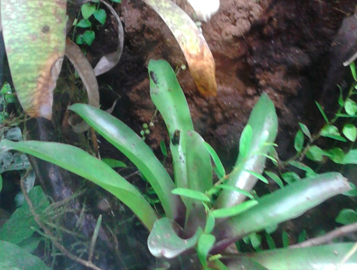 Captura de pantalla 2015-08-03 a las 21.13.25.jpg