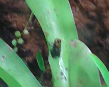 Captura de pantalla 2015-08-03 a las 21.13.58.jpg