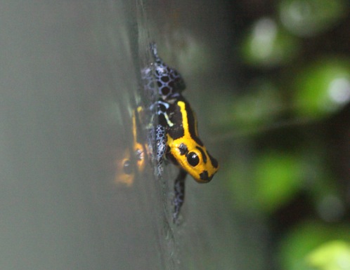 Captura de pantalla 2015-08-03 a las 21.21.30.jpg