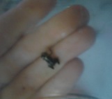 Captura de pantalla 2015-08-04 a las 21.08.44.jpg