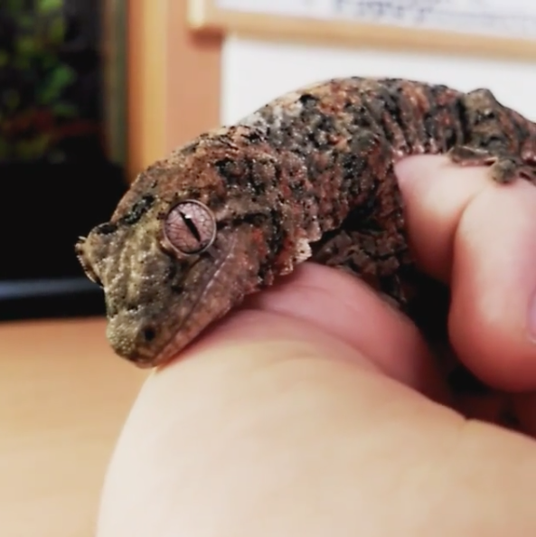 Captura de pantalla 2016-03-05 a las 11.36.38.png