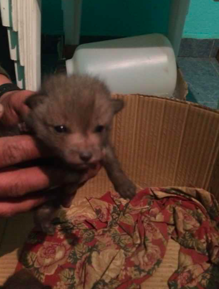 Captura de pantalla 2016-03-23 a las 18.49.02.png