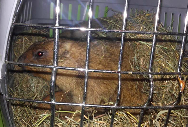 Captura de pantalla 2016-04-04 a las 14.49.31.png