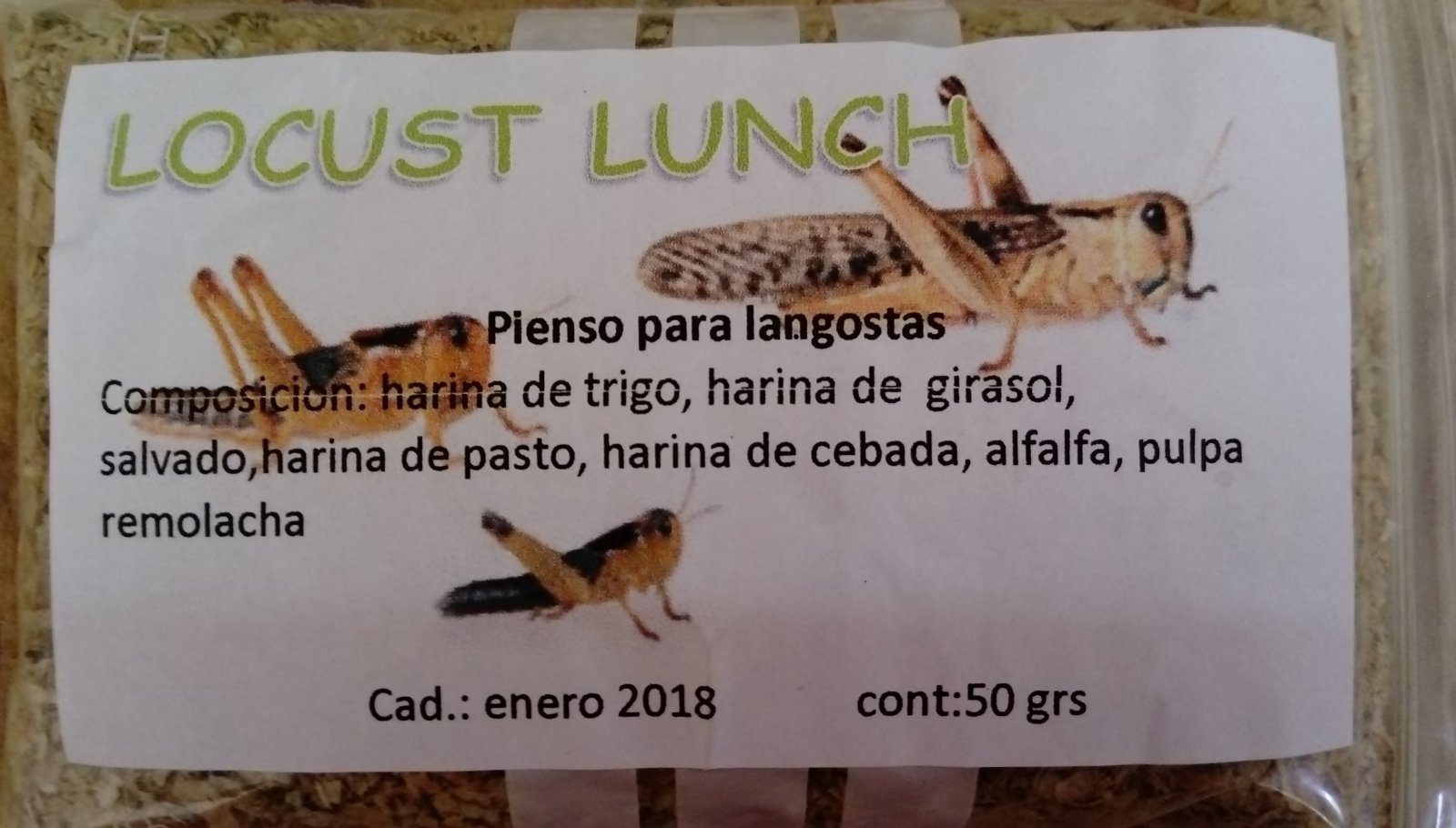 COMIDA LANGOSTA 1.jpg