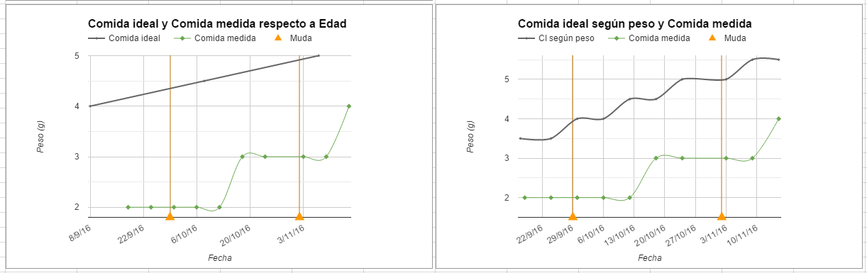 Comparativa comida munson.PNG