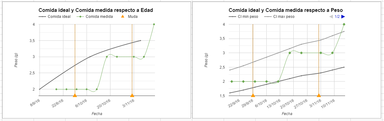 Comparativa comida.PNG