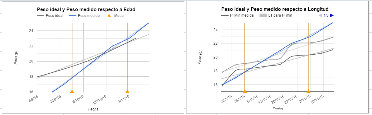 Comparativa peso munson.PNG