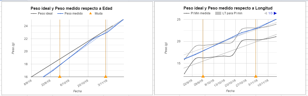 Comparativa peso.PNG