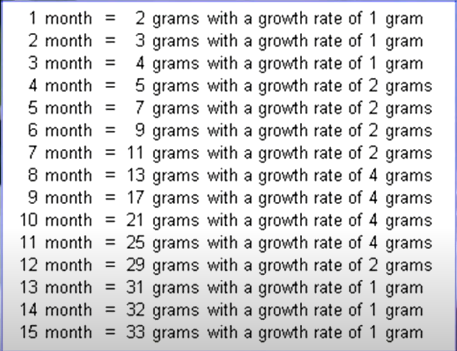 crested gecko grow up.PNG