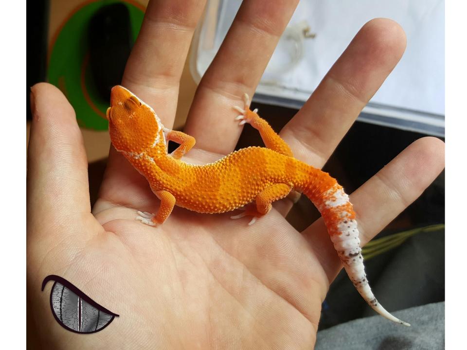 Dibujo sin título (1).jpg