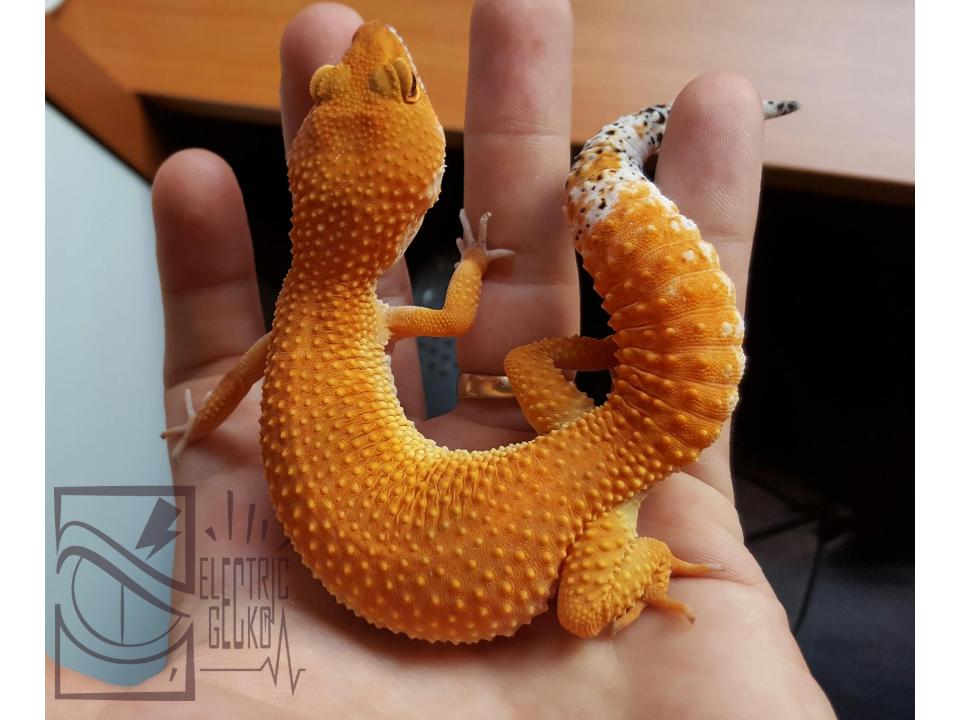 Dibujo sin título (2).jpg