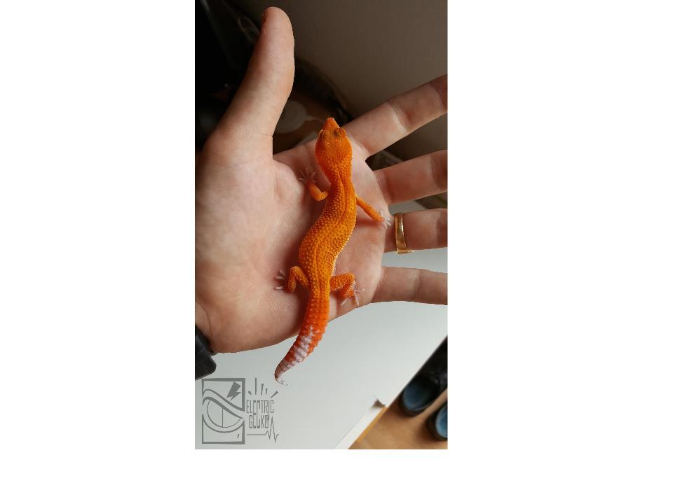 Dibujo sin título.jpg