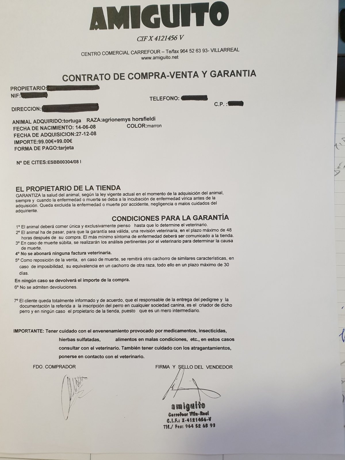 Documentación tortuga.jpg