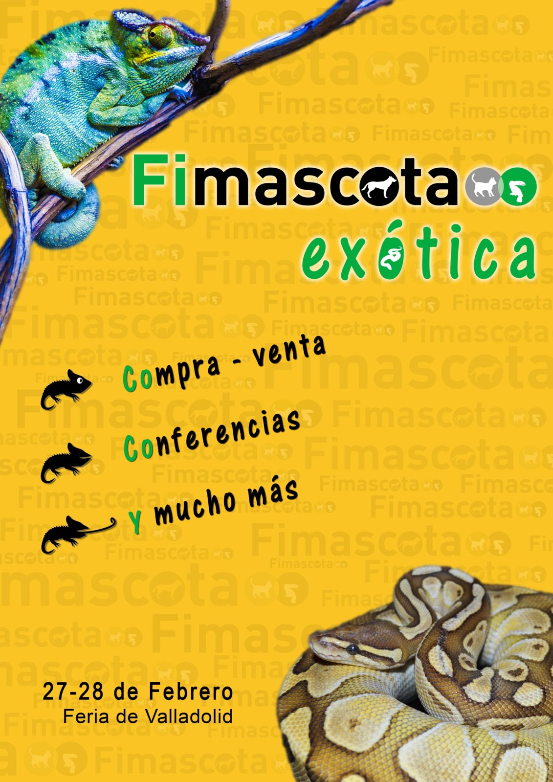 Fimascota Exótica.jpg