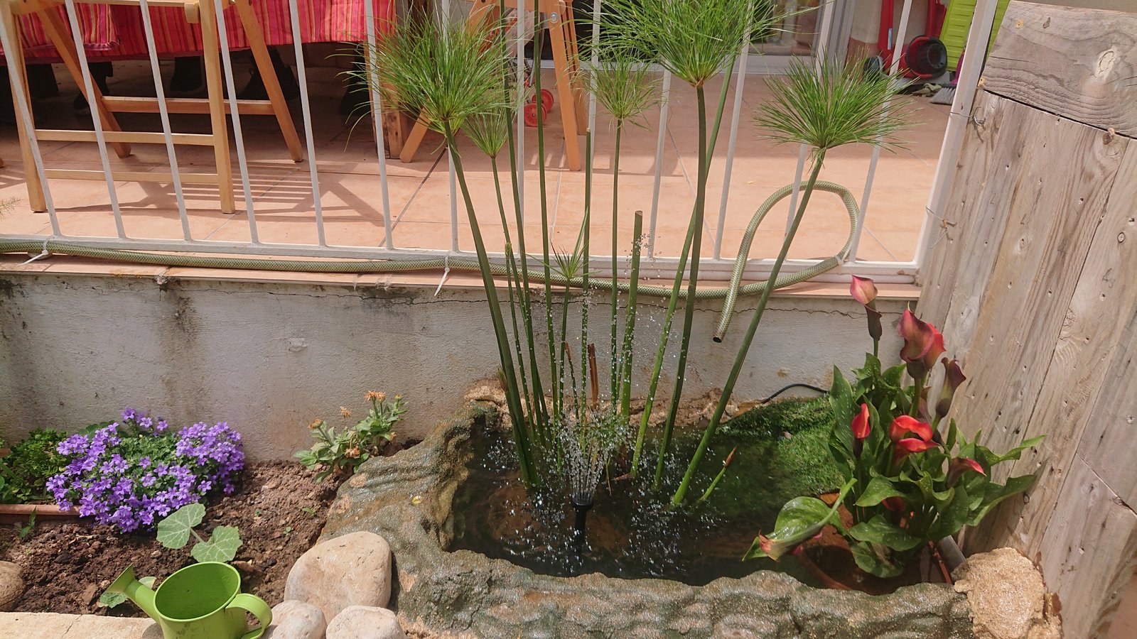 Funcionando en modo ducha.JPG