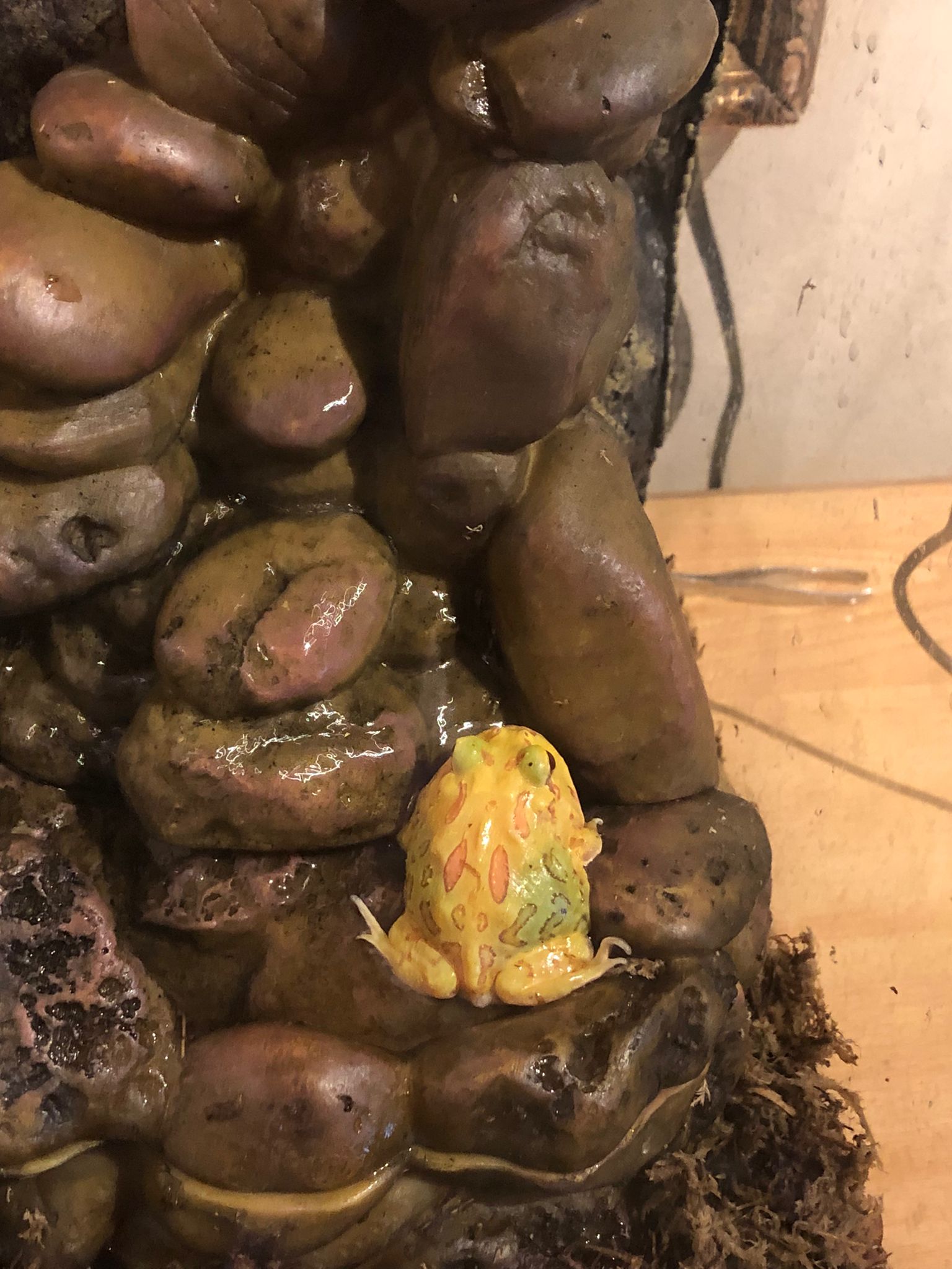 Imagen de WhatsApp 2023-08-08 a las 20.43.53.jpg