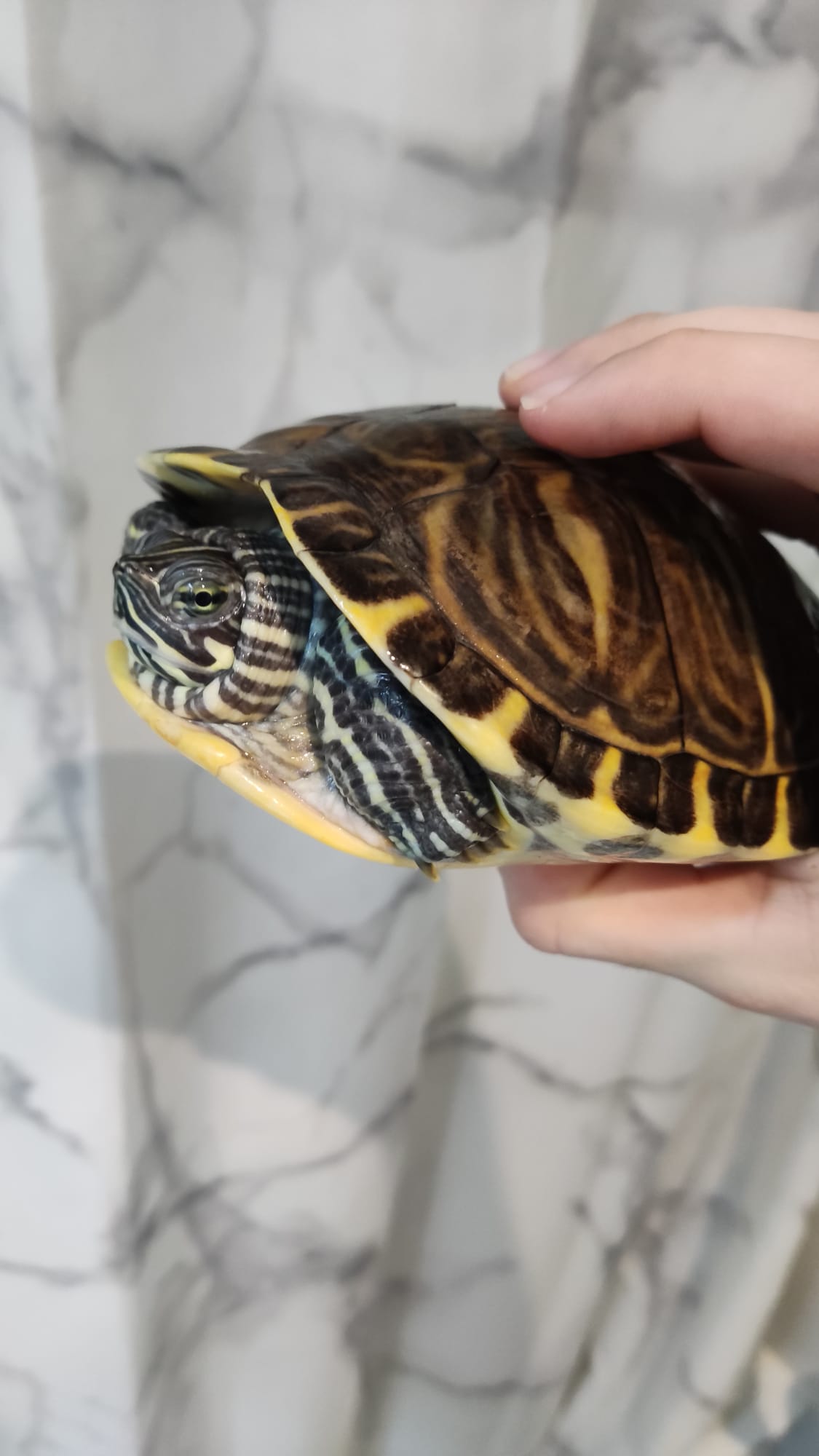 Imagen de WhatsApp 2025-03-16 a las 20.43.23_b19a9858.jpg