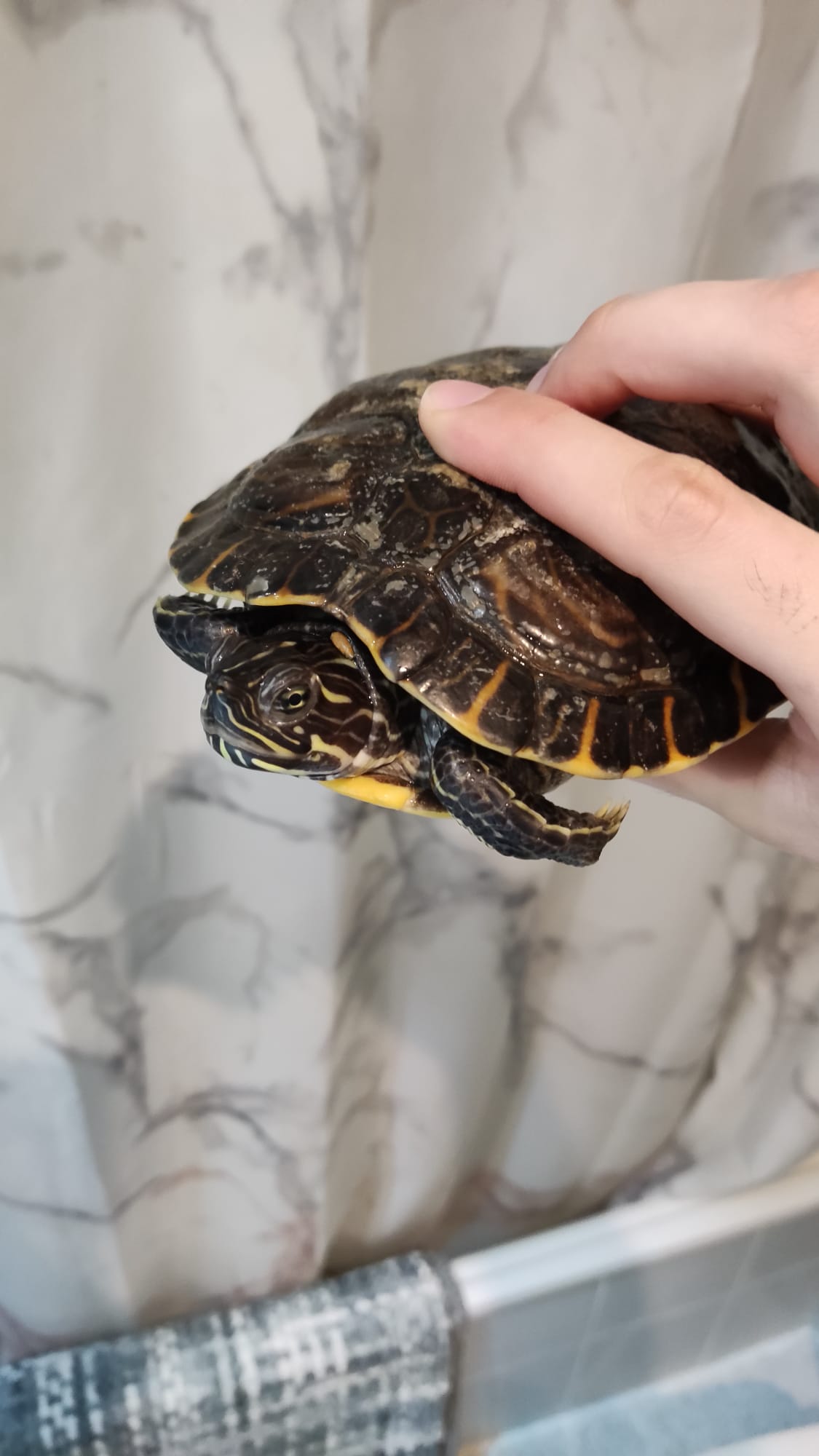 Imagen de WhatsApp 2025-03-16 a las 20.43.23_f6156e6f.jpg