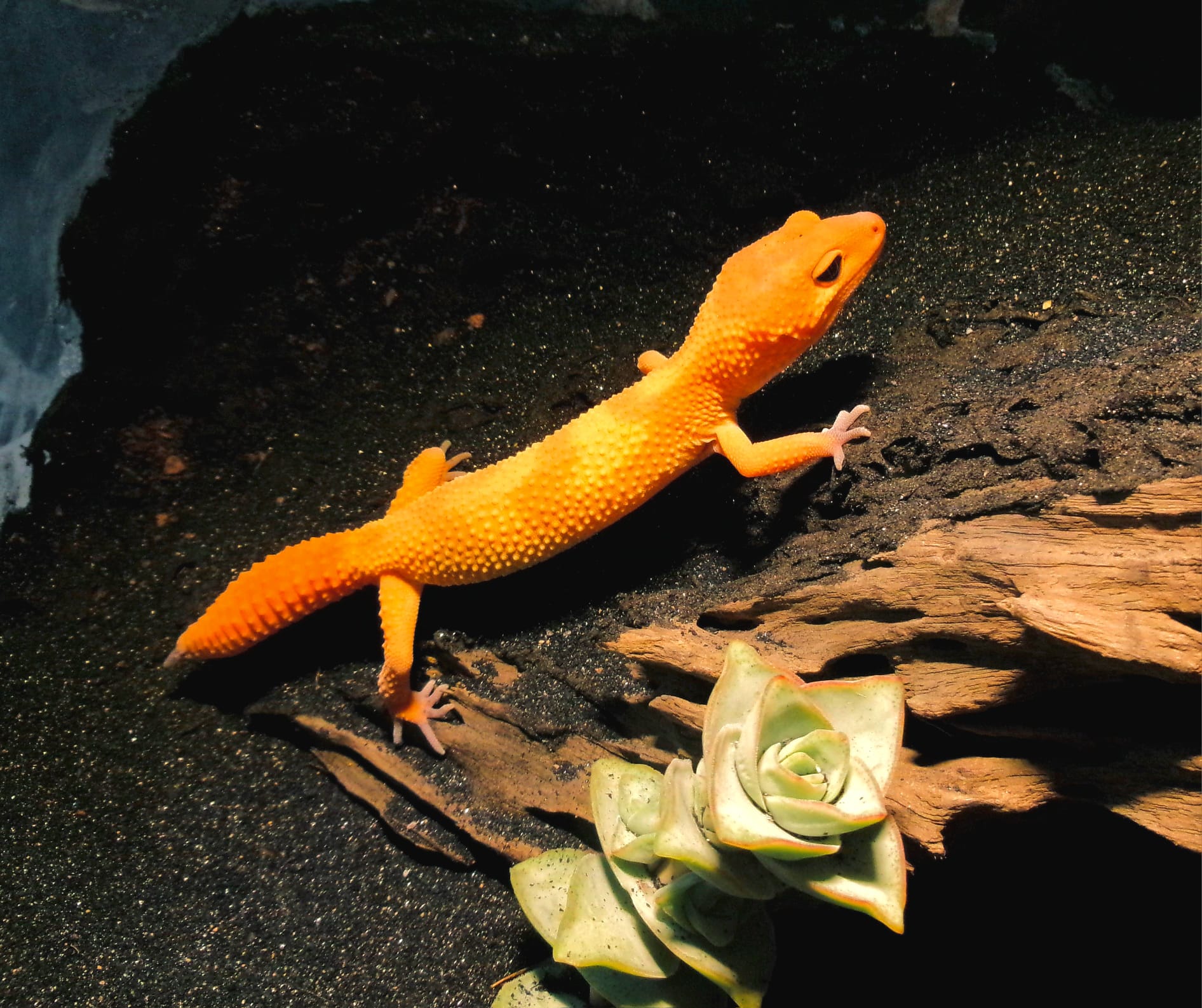 Imagen de WhatsApp 2025-08-12 a las 19.01.07_90edeb0c.jpg