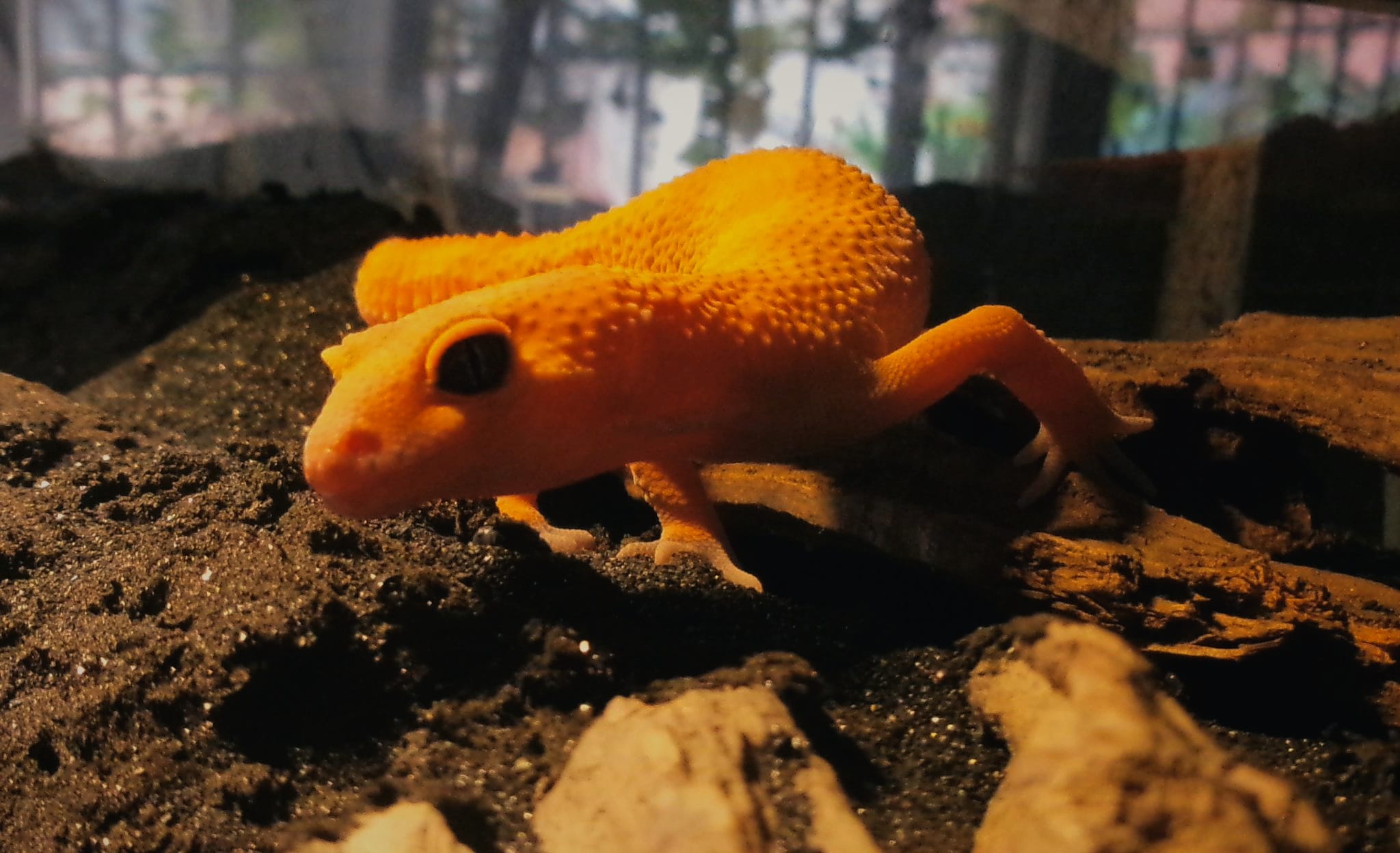 Imagen de WhatsApp 2025-08-12 a las 19.01.08_68812675.jpg