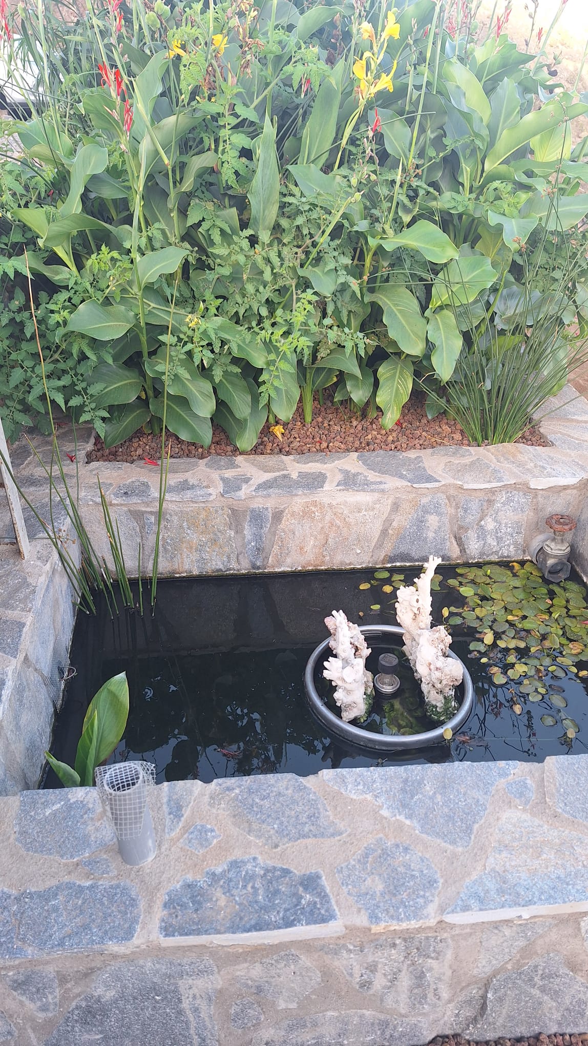 Imagen de WhatsApp 2025-10-07 a las 20.12.22_01fd5473.jpg