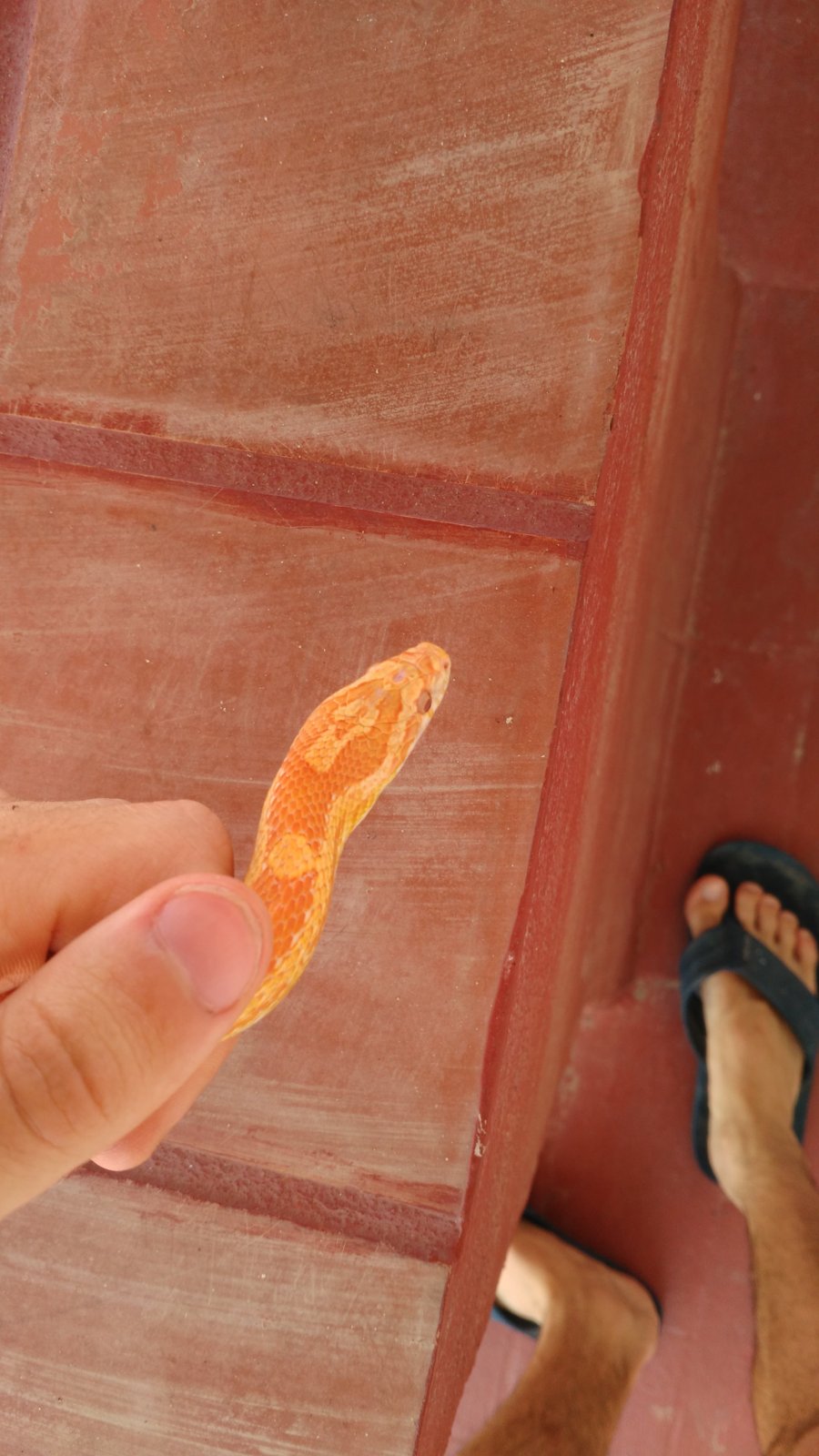 IMG_20150717_151325 (1).jpg