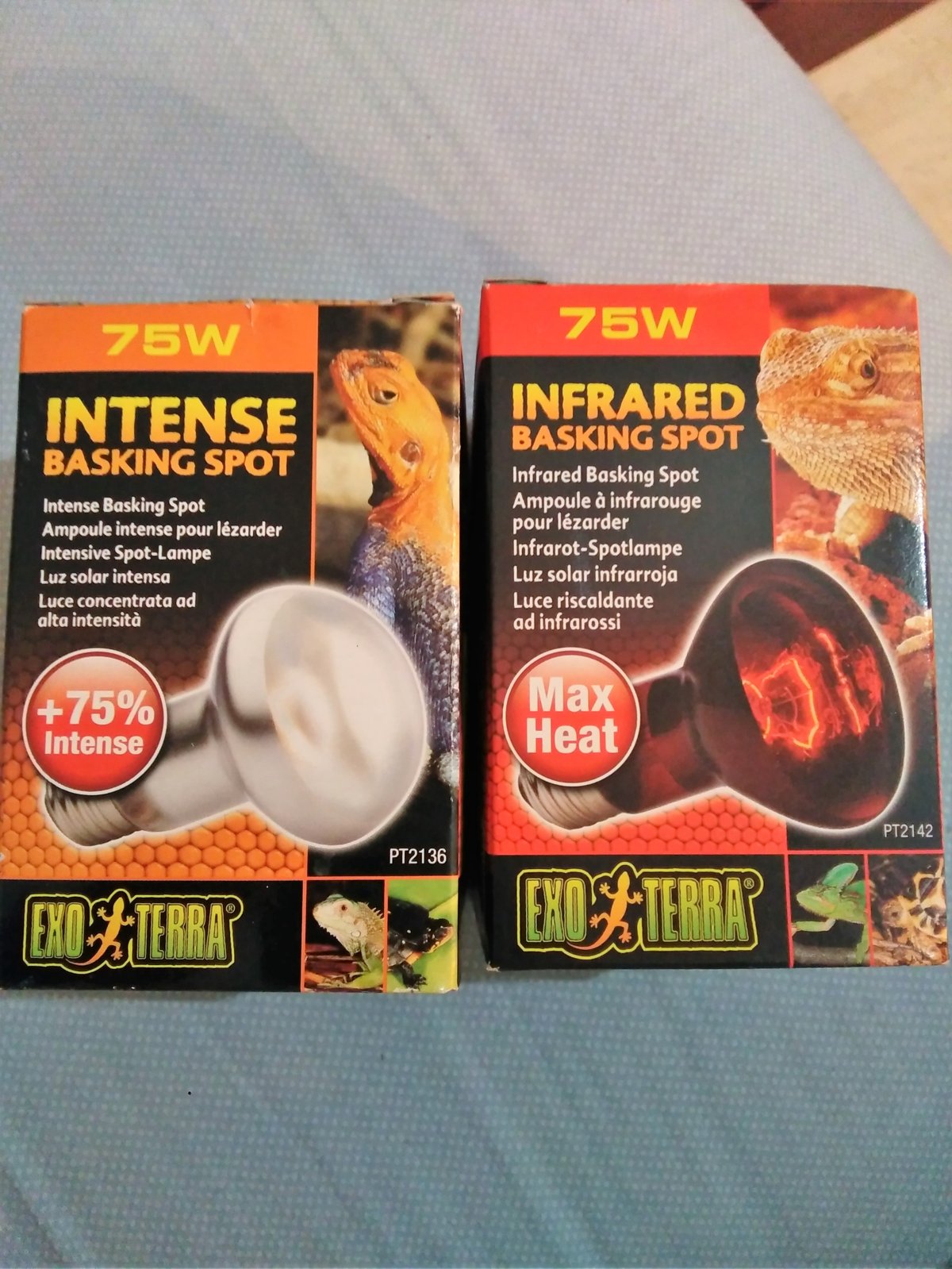 IMG_20160317_103124 (2).jpg