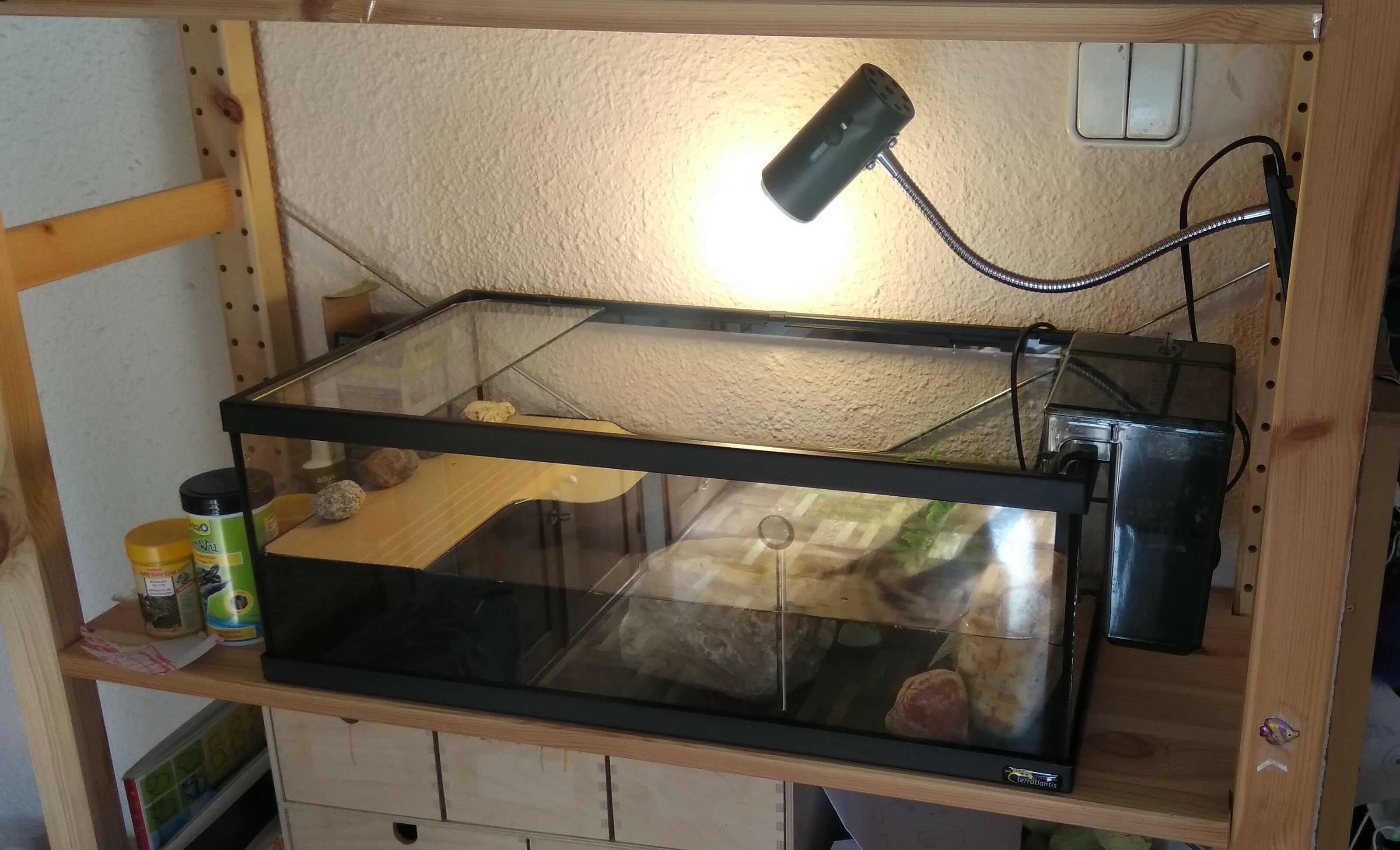 IMG_20201102_122259 (2).jpg