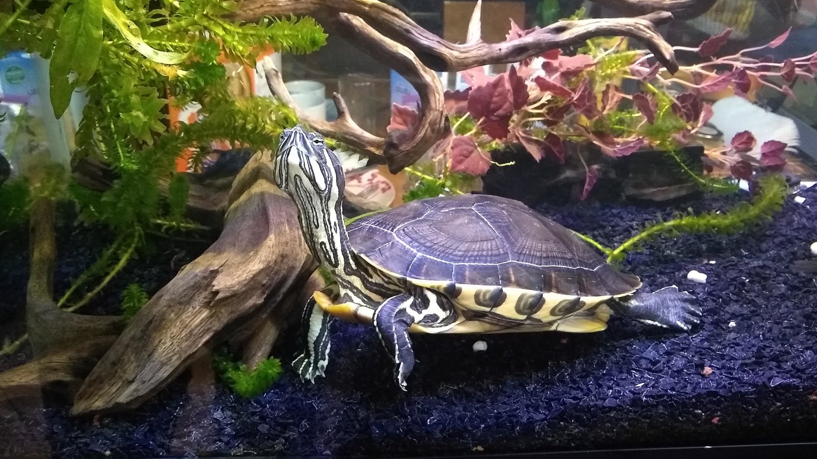 img_20210105_152912234-jpg.215633