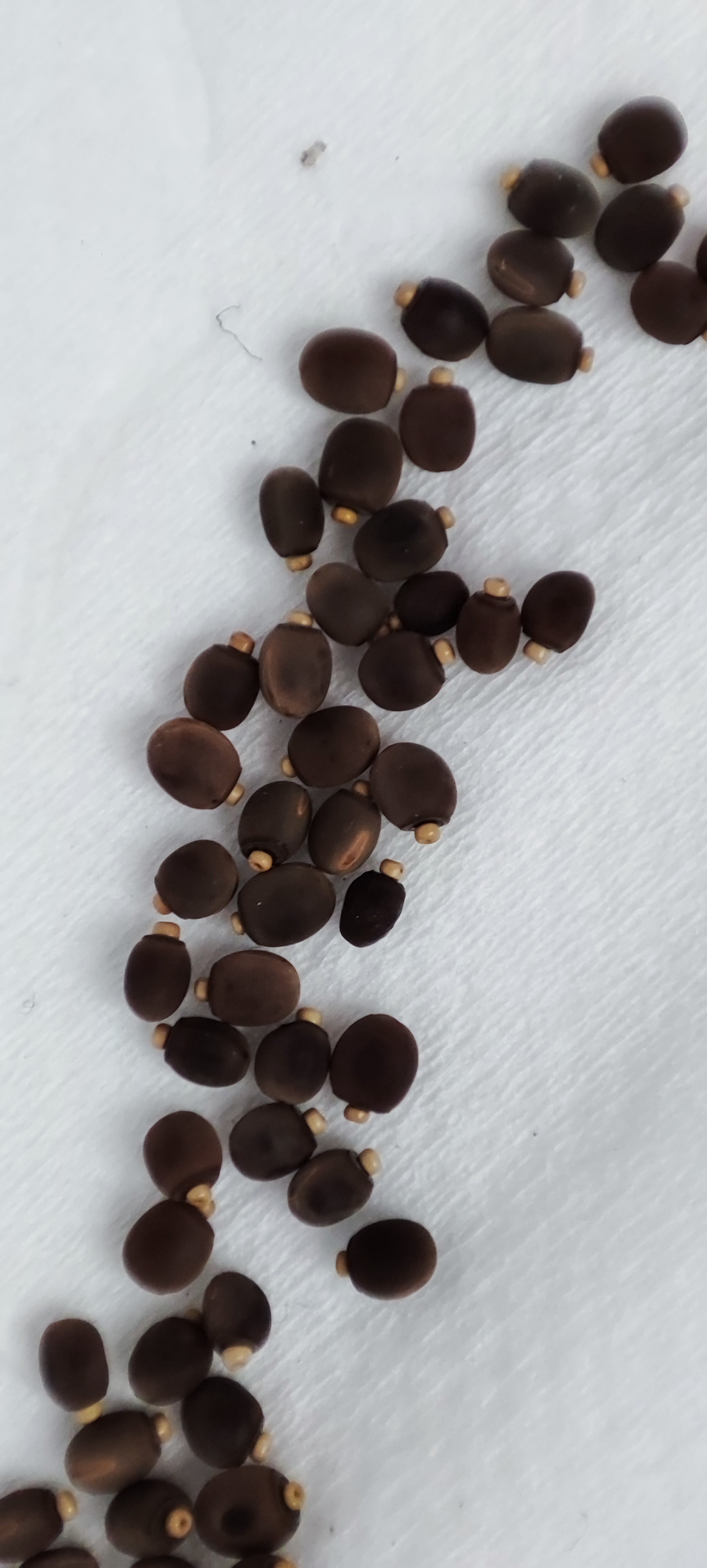 IMG_20230328_142213 (1).jpg