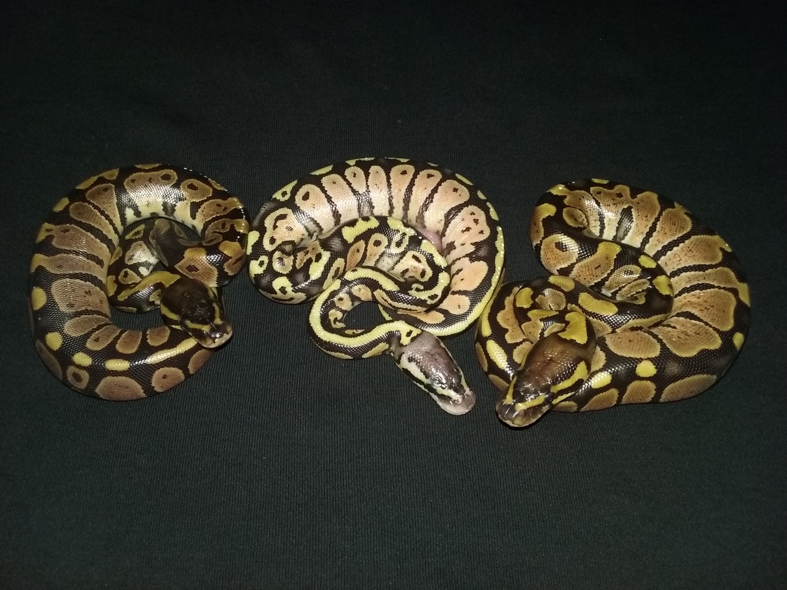 Las Tres Joyitas.jpg