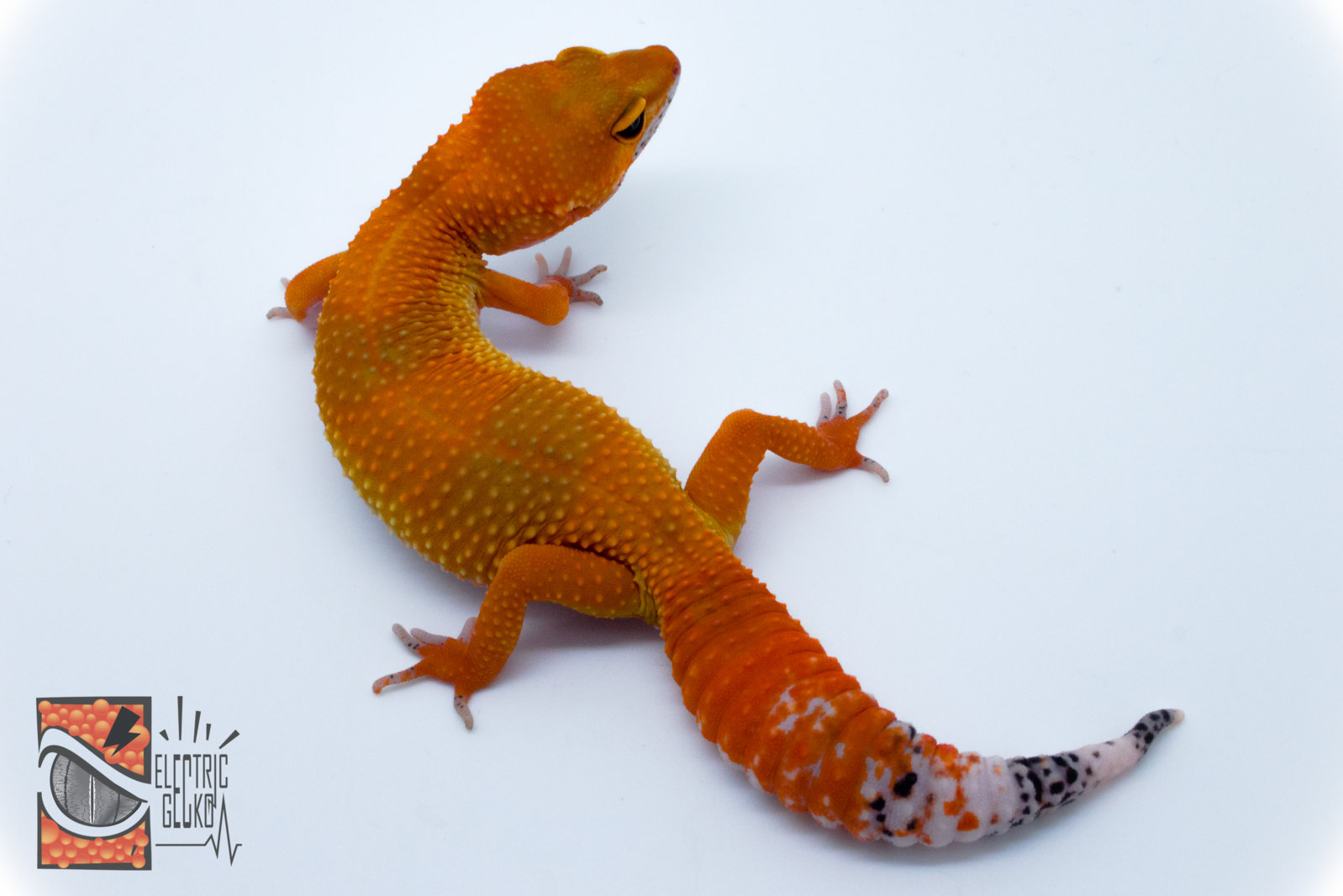 Mayi 6-5-2016 37g 2.jpg