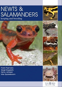 newts-breeding-bogaerts.jpg