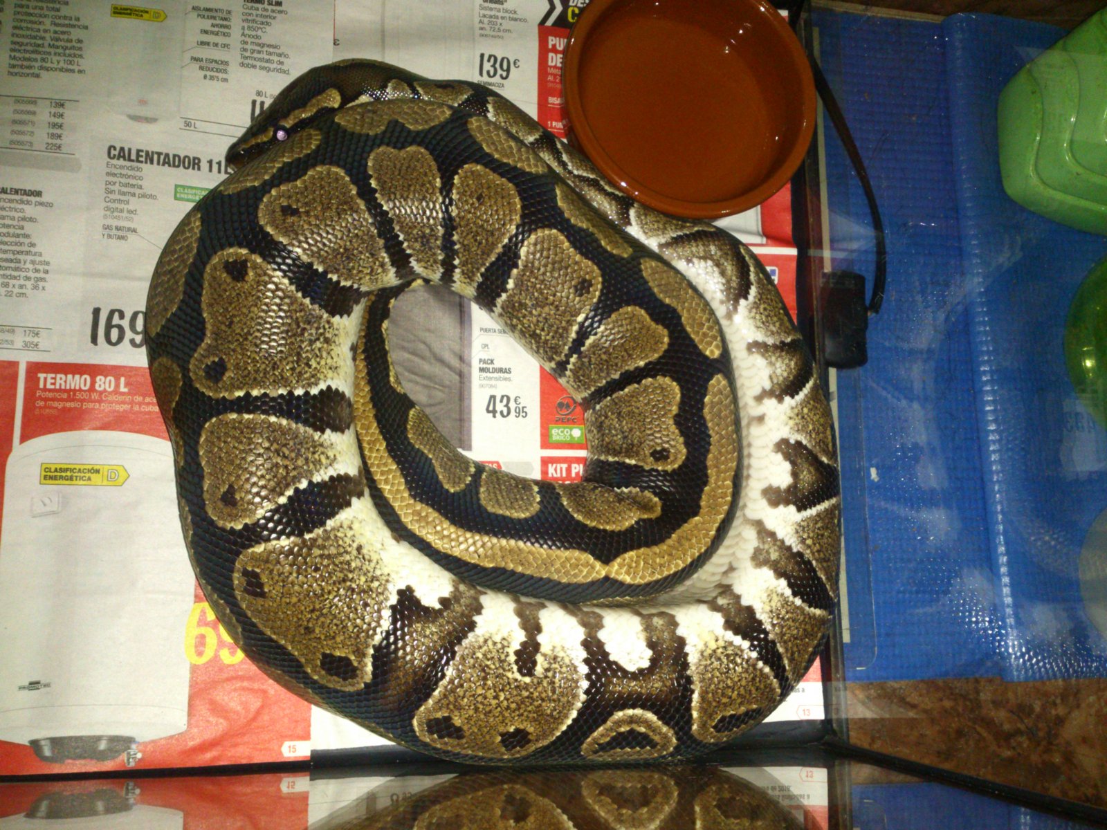 Nicy Posición Calentamiento 1.jpg