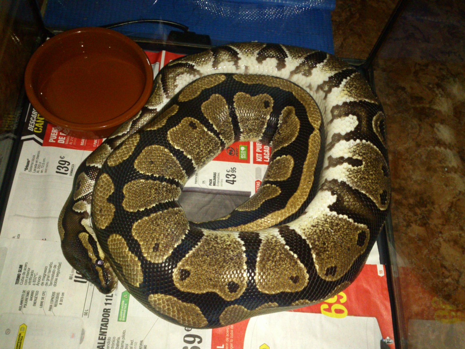 Nicy Posición Calentamiento 2.jpg