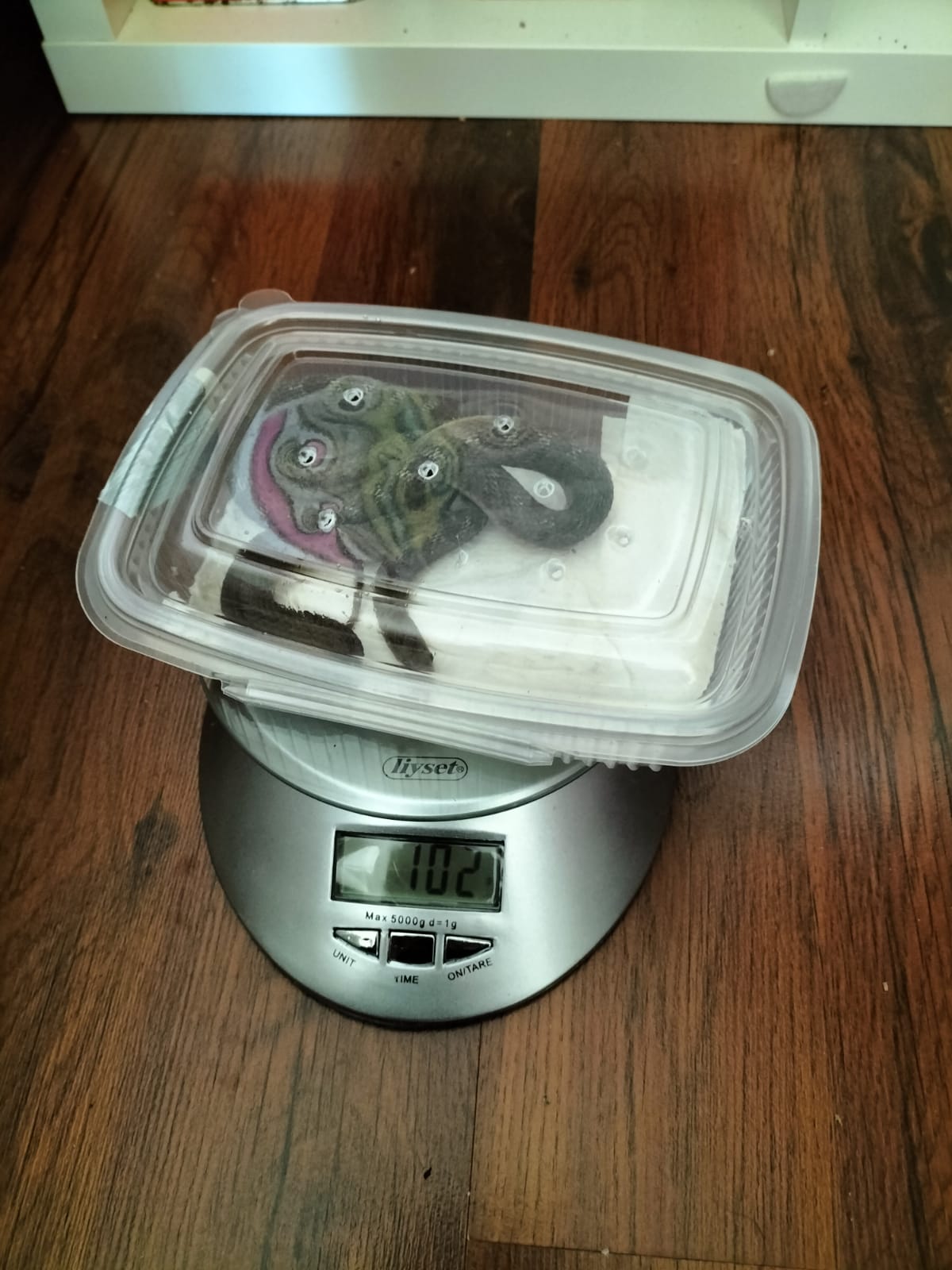 Peso hembra 76g.jpeg