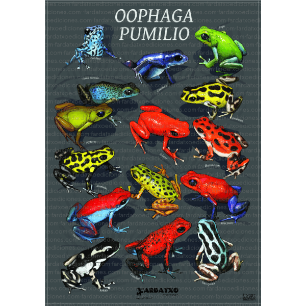 poster-oophaga-pumilio.jpg.png