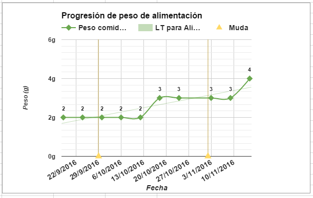 Progresion comida.PNG