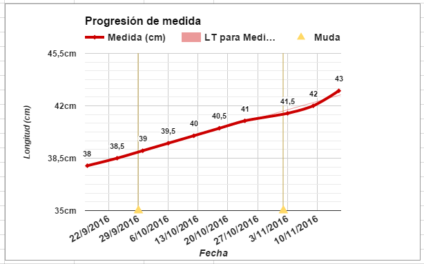 Progresion medida.PNG