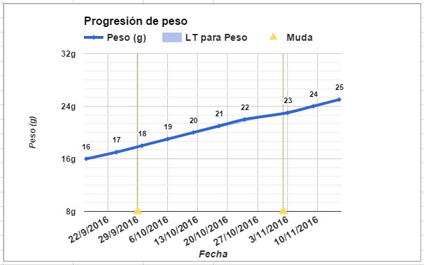 Progresion peso.PNG