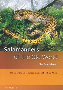 salamanders-old-world.jpg