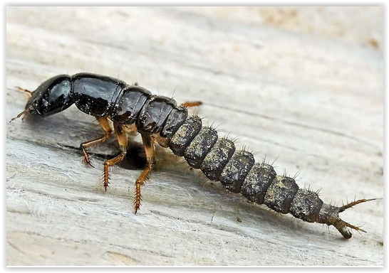 Screen Shot 03-22-21 at 03.46 PM.PNG