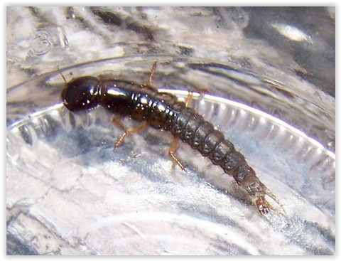 Screen Shot 03-22-21 at 03.49 PM.PNG