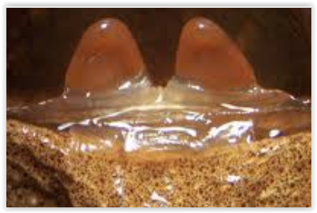 Screen Shot 06-06-23 at 05.10 PM.PNG